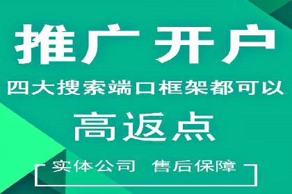 百度推广价格策略案例：如何精准投放预算
